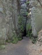 Resize of Talpa 086.jpg